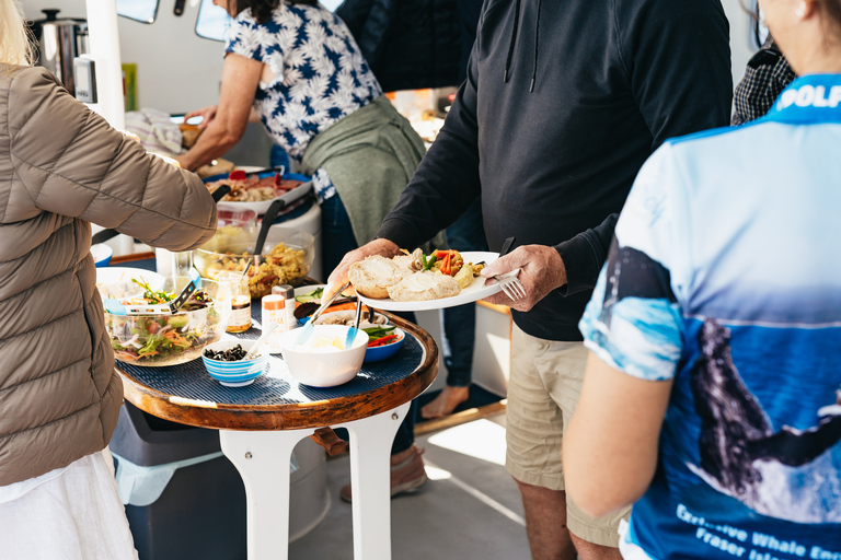 Hervey Bay: Exclusive Whale Watch Encounter Hervey Bay: Exclusive Whale Watch Encounter