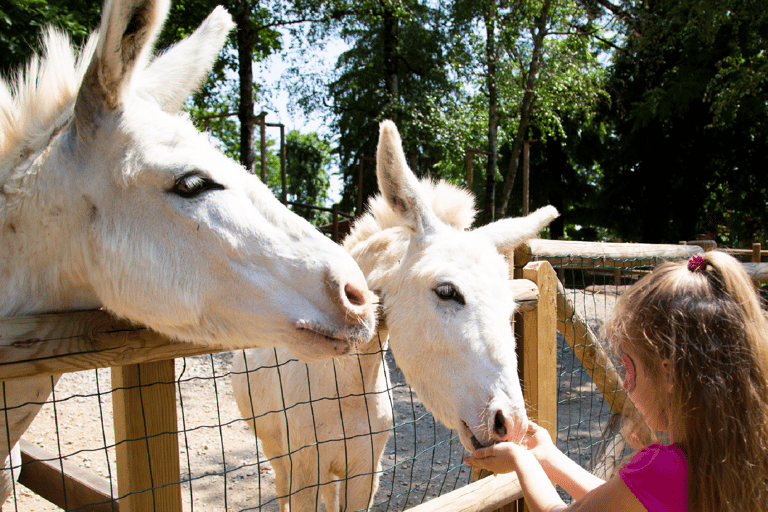 Leolandia Park: Open-Date Entry Ticket
