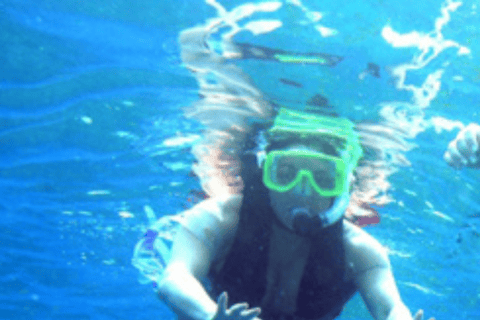 Dolfijnen kijken en snorkelen in Muscat