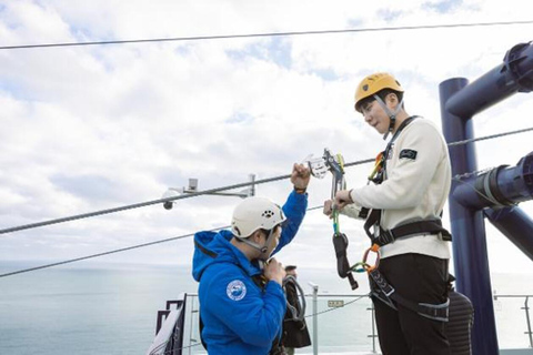Busan: Highlights Tour with Zipline & Cable Car with Lunch