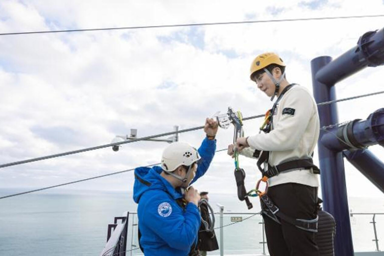 Busan: Highlights Tour with Zipline & Cable Car with Lunch