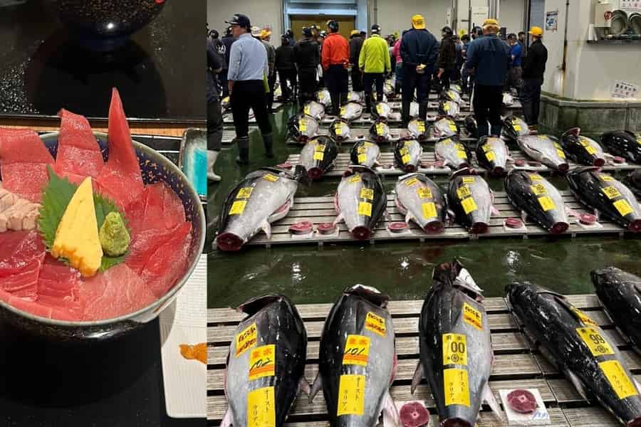 Thunfischauktion in Toyosu, Tokio, mit Händler + Sushi (Standard bis VIP). Foto: GetYourGuide