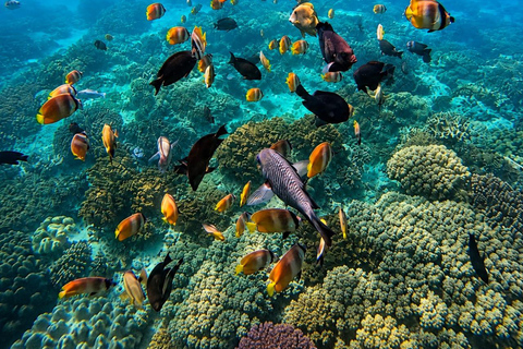 From Lombok: Gili Nanggu, Sudak, and Kedis Island Tour