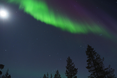 Helsinki: Guided Nature Experience with Campfire and Meal Private Experience from Helsinki