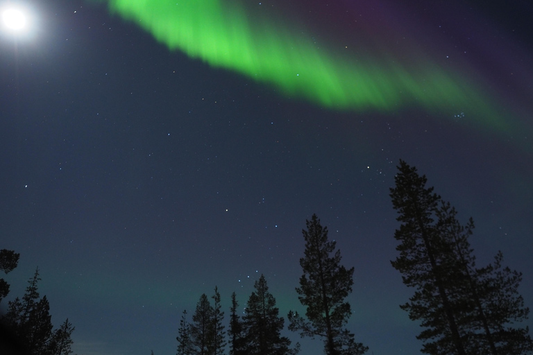 Helsinki: Guided Nature Experience with Campfire and Meal Private Experience from Helsinki