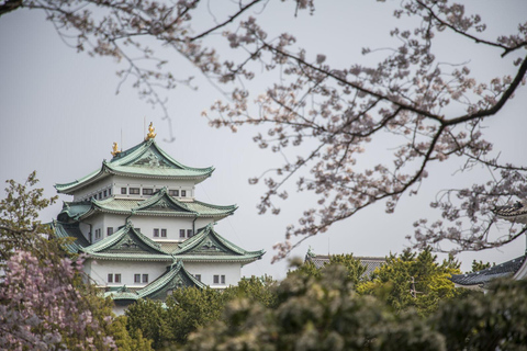 Visite à la journée : Château, jardins et domaine historique de Nagoya