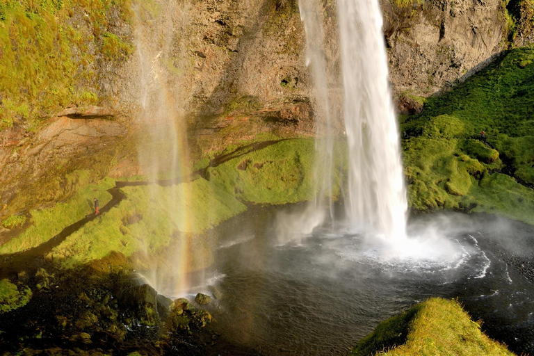 Reykjavík: German-speaking shore excursion South Iceland in a small group