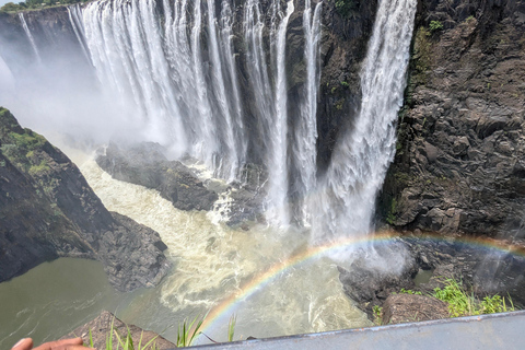Victoria Falls Cross-Border Tour:Big Tree & Historic Bridge