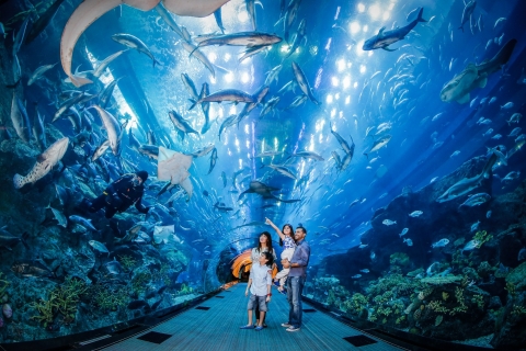 Bezoek aan Dubai Aquarium, Underwater Zoo & Penguin CoveDubai Aquarium, Underwater Zoo & Penguin Cove Experience