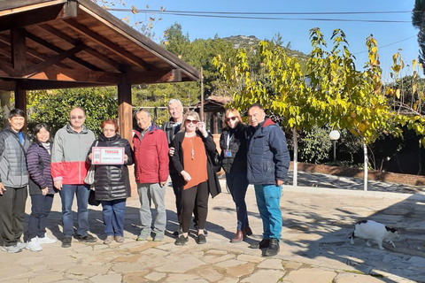 Kusadasi: Prywatna wycieczka 1-dniowa do Efezu, Miletu i Didymy