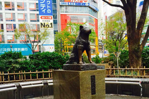 Tokyo City Must See Highlights Full Adjustable Itinerary