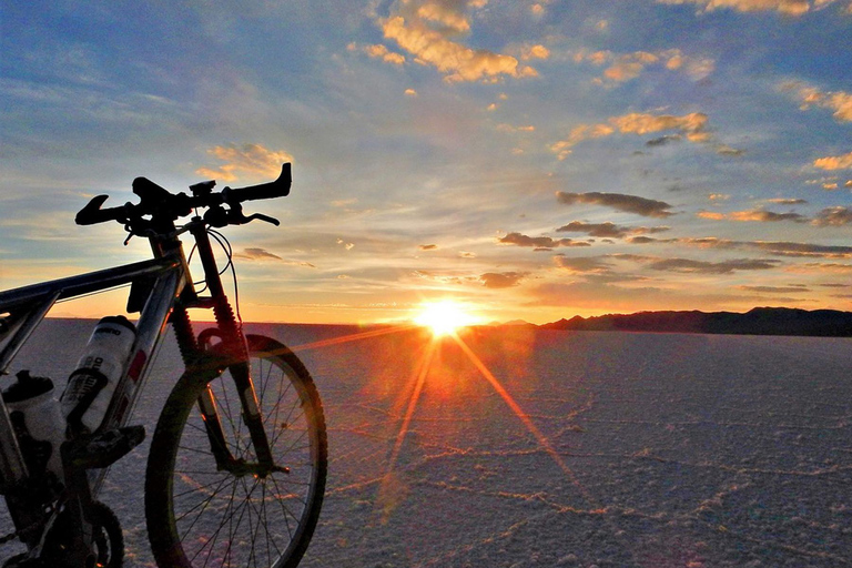 From Uyuni: Uyuni Salt Flats Bike Tour 1-Day + Lunch TOUR INGLES