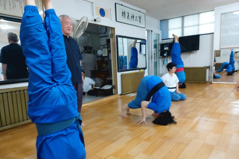 Seúl: Experimenta la curación tradicional coreana del cuerpo y la mente