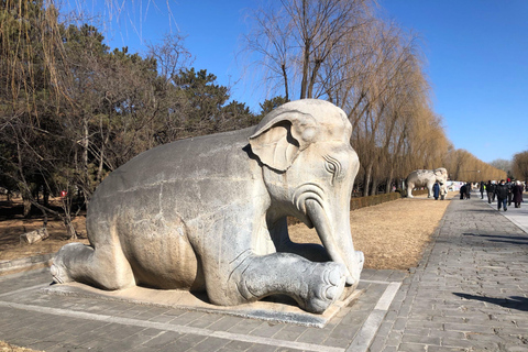 Tour en grupo reducido de la Gran Muralla de Juyongguan y la Vía Sagrada