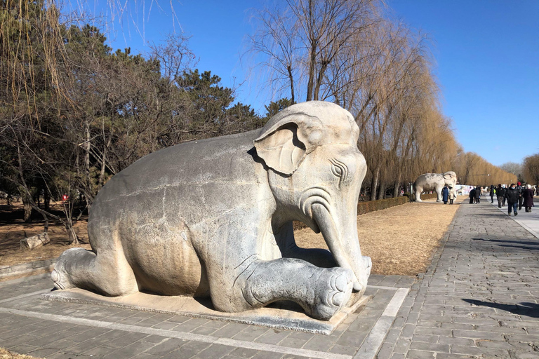 Tour en grupo reducido de la Gran Muralla de Juyongguan y la Vía Sagrada