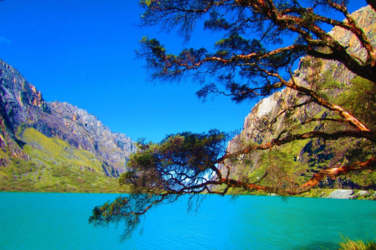 Från Huaraz: Spännande resa till Chinancocha-lagunen