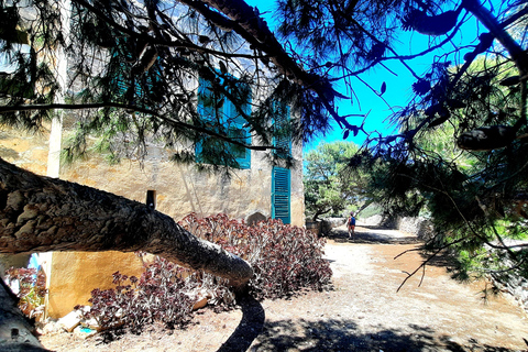 Gozo Unveiled: Guided Hiking in Comino Island