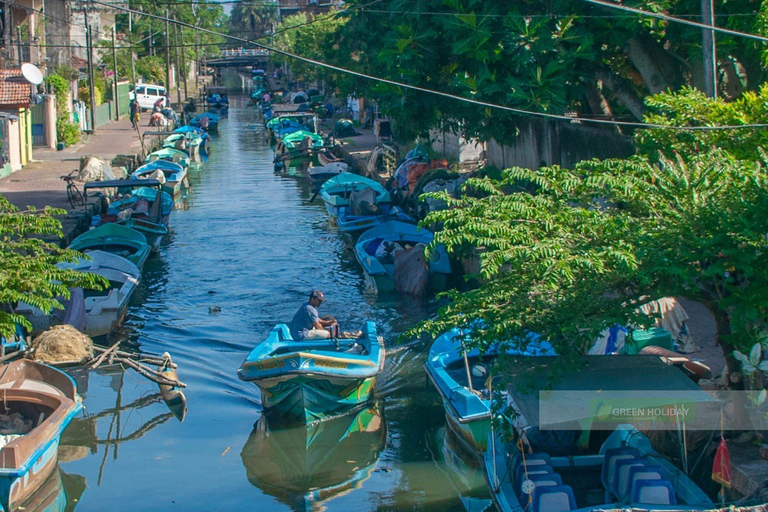 Negombo: tour guiado na cidade de tuk tuk com serviço de busca no hotel