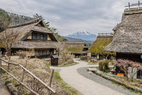 Fuji: kultur, skog och utsikt – privat skräddarsydd turFuji-kultur, skog och naturskön utsikt: Privat skräddarsydd tur