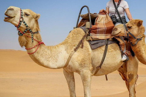 Delhi: tour di 3 giorni a Pushkar e Jaipur con sessione di yoga