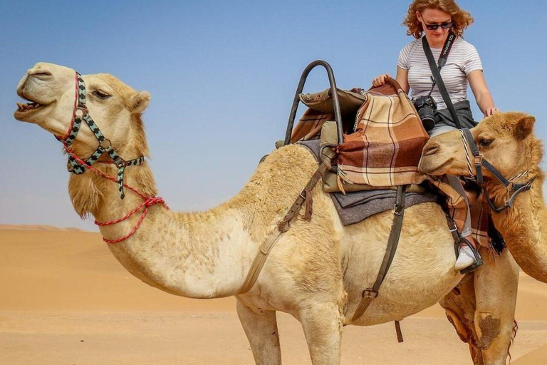 Delhi: tour di 3 giorni a Pushkar e Jaipur con sessione di yoga