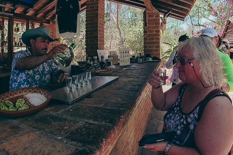 MAZATLAN : TYROLIENNE À HUANACOA, VISITE DE LA TEQUILA ET TESTS