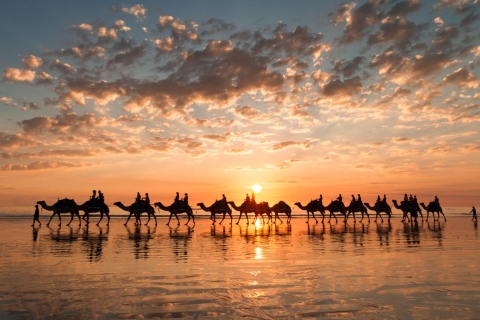 From Agadir: Sunset Camel Ride with BBQ Dinner and Transfers