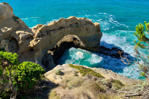 Melbourne Great Ocean Road Benz Small-Group & Coach Tour Great Ocean Road Coach Tour（not Mercedes)