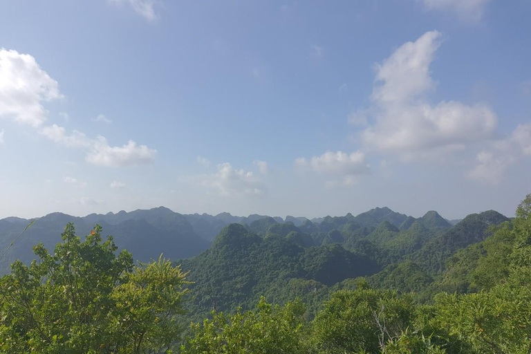 Half day Hiking Cat Ba National Park With guide