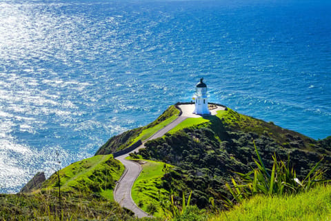 Cape Reinga: Day Trip from Paihia, Kerikeri, or Kaitaia - Image 2