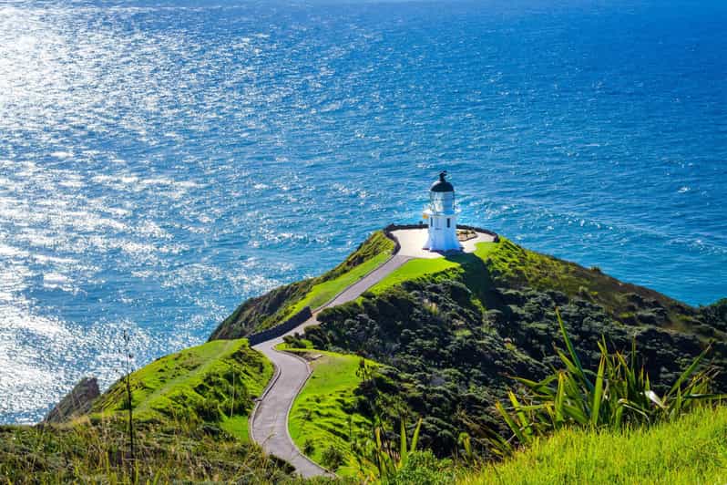 Capo Reinga: gita di 1 giorno da Paihia, Kerikeri o Kaitaia
