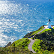 Cape Reinga: Day Trip from Paihia, Kerikeri, or Kaitaia Cape Reinga: Day Trip from Paihia, Kerikeri, or Kaitaia