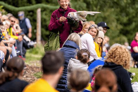 High Adventure: Landscapes &amp; Legends Tour from Oxenholme