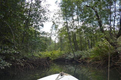 Osa Peninsula: 3-Nights in Costa Rica's Wild Rainforest