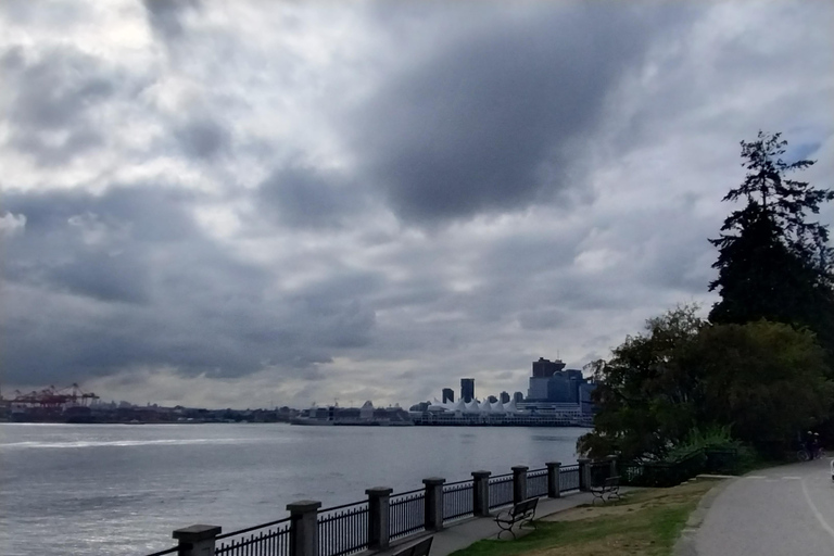 Recorrido en Coche por Vancouver: Ver todas las atracciones de la ciudad/Ahorrar tiempo y dinero