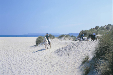 Westport: Begeleide paardrijtocht langs strand en platteland
