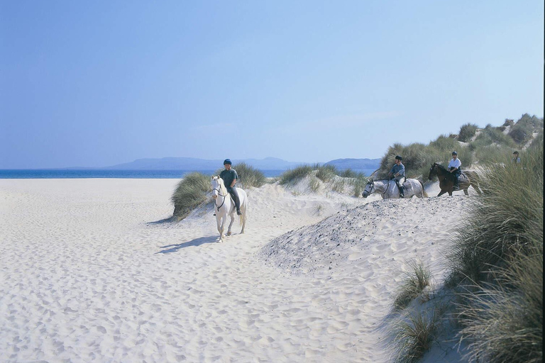 Westport: Begeleide paardrijtocht langs strand en platteland