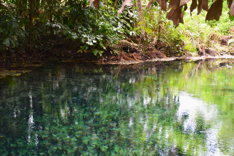 البرية: جولة مشي لمسافات طويلة ومشاهدة النجوم في خاو ياي لمدة يومينجولة المجموعات الصغيرة