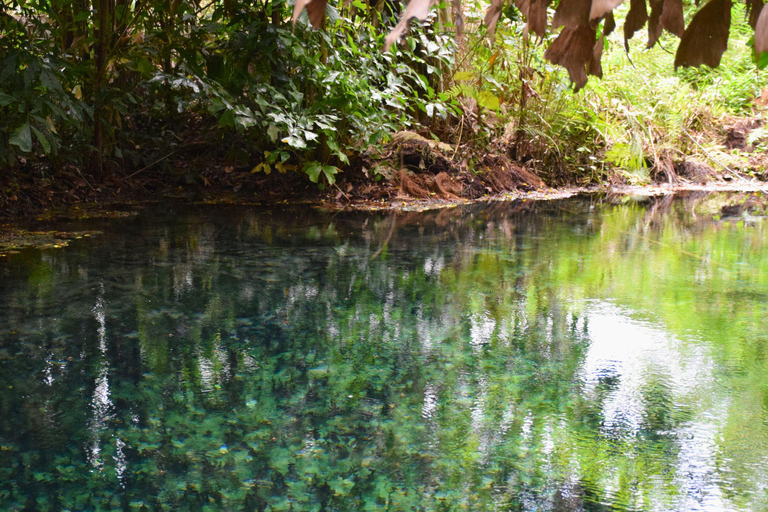 البرية: جولة مشي لمسافات طويلة ومشاهدة النجوم في خاو ياي لمدة يومينجولة المجموعات الصغيرة