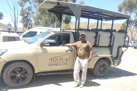 Cape Town: Aquila Big Five Safari with Private Transfers Sunset Safari
