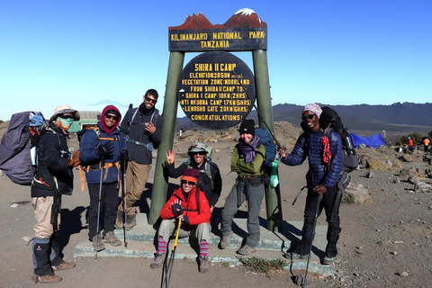 Parque Nacional do Kilimanjaro - 8 dias na Rota de Lemosho