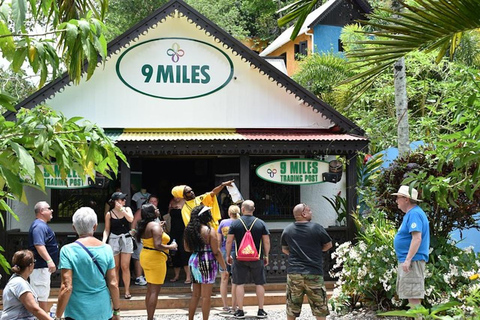 Entrada y tour guiado de Bob Marley&#039;s Nine Mile desde Monteg