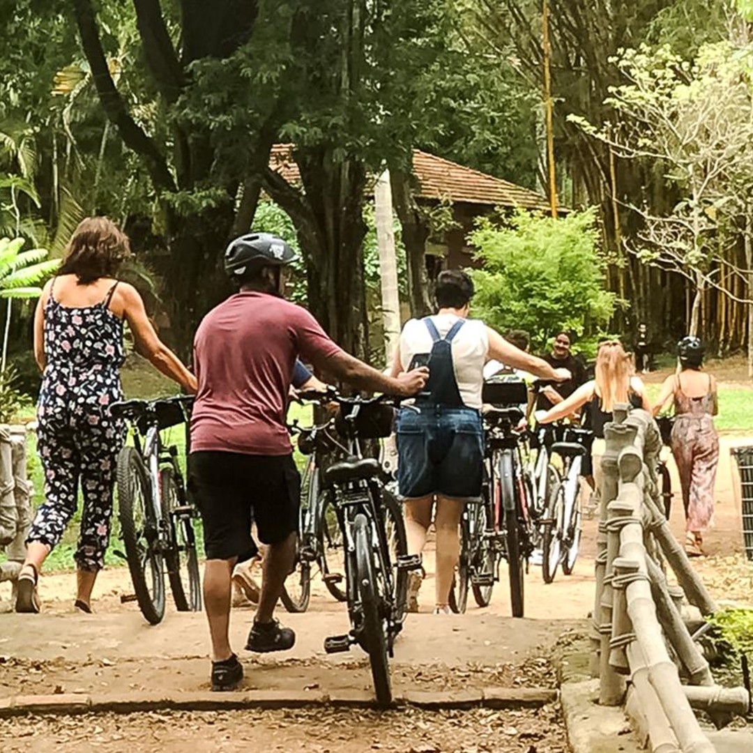 Colagem de mídia