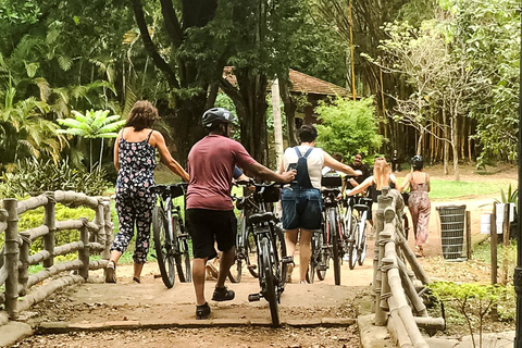 São Paulo - Ibirapuera Park Fahrrad Tour