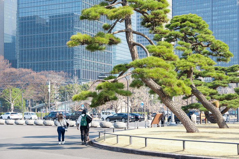 Tokyo: 1-dagars höjdpunkter med privat bil och guide