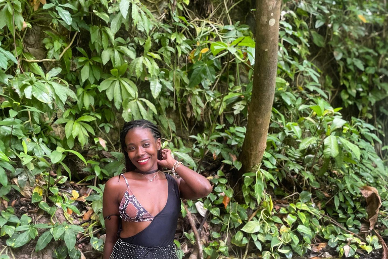 Dunn’s River Falls and Dolphin Cove Swim Adventure From Montego Bay/ Falmouth/ Trelawny
