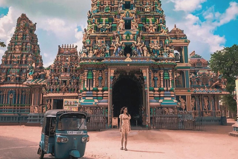 Day Trip from Sigiriya to Trincomalee: Temples, Beaches