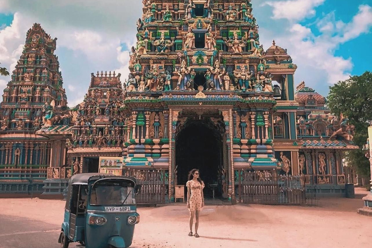 Day Trip from Sigiriya to Trincomalee: Temples, Beaches