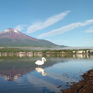 Mount Fuji Full-Day Private Tour from Tokyo (Customizable)