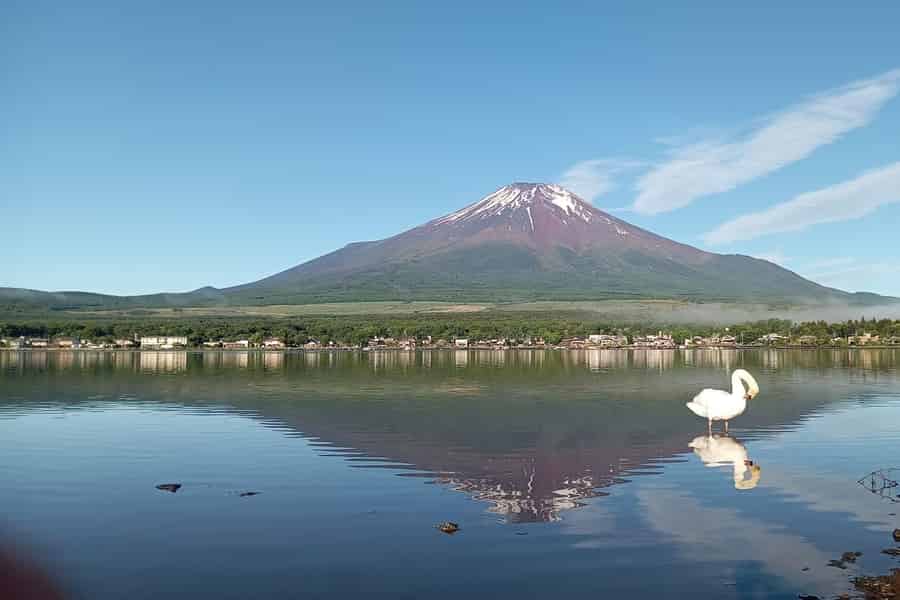 Ganztagestour zum Fuji von Tokio aus (individuell anpassbar). Foto: GetYourGuide